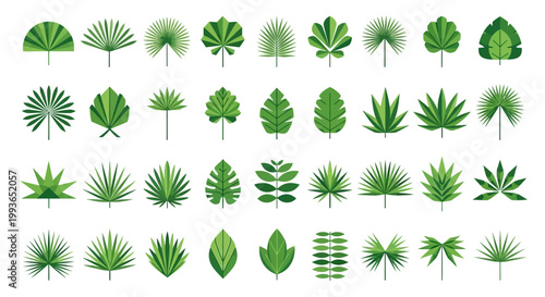 Collection of various green leaf types.