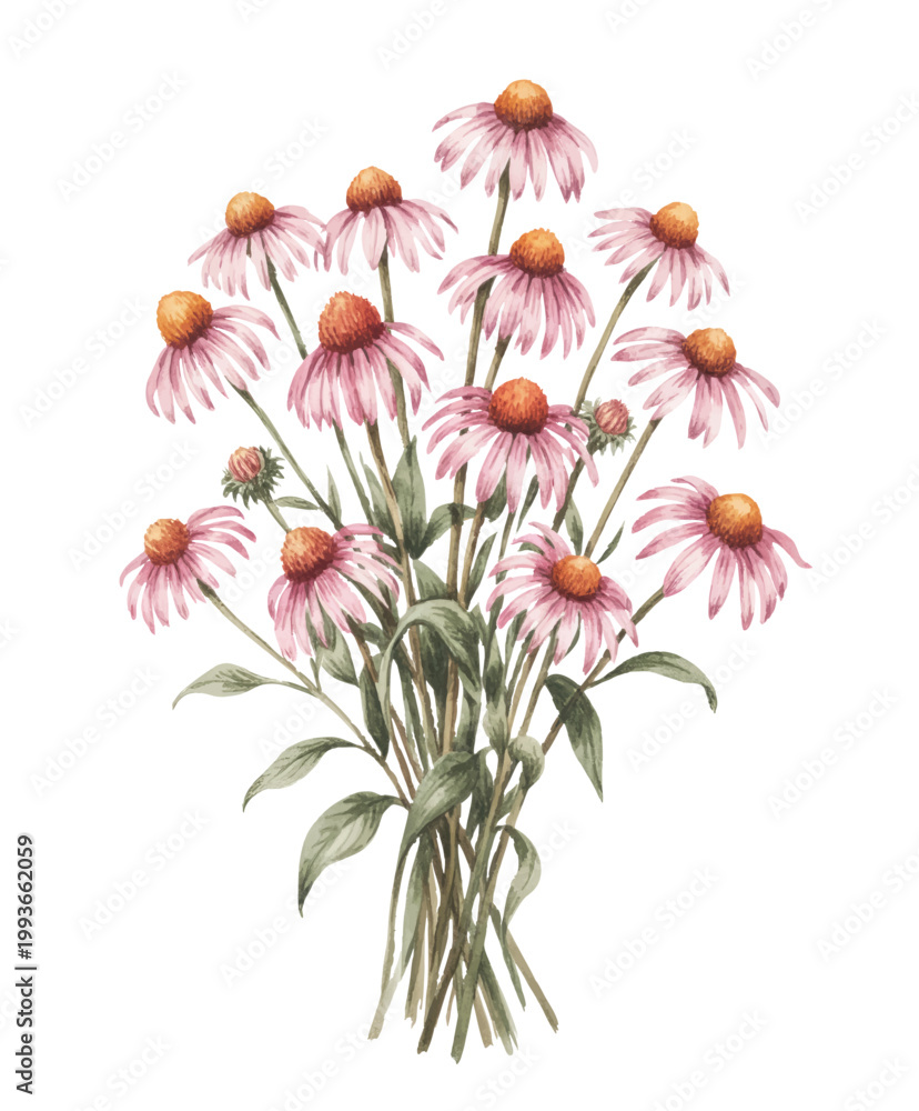 Obraz premium Soft pink wildflowers gathered in a peaceful botanical bouquet.