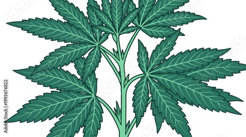 Lush Green Cannabis Plant Botanical Illustration with Detailed Foliage and Rich Texture