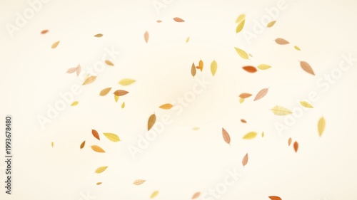Autumn leaves swirling in the wind: golden and orange foliage spinning and drifting on light background