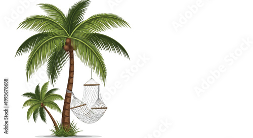 Tropical palm tree with comfortable hammock hanging for summer vacation relaxation isolated on white background