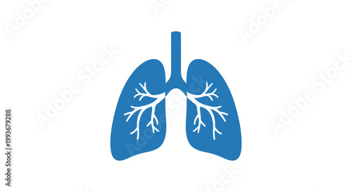 Human Lung Anatomy Medical Illustration.