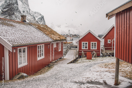 Lofoten islands in winter