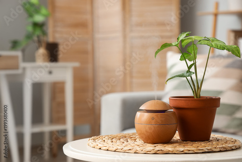 Konstfotografi Air humidifier with green plant on table in living room