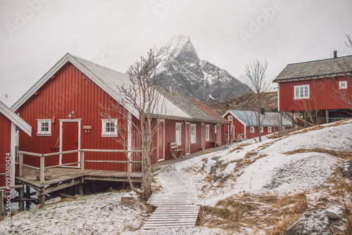 Lofoten islands in winter