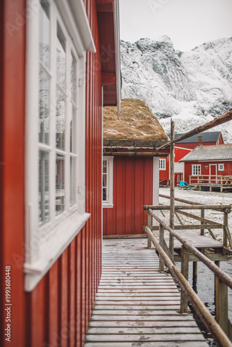 Lofoten islands in winter
