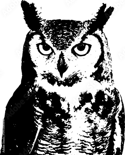 High contrast black and white owl portrait ink stencil with intense gaze for occult poster background and emblem design