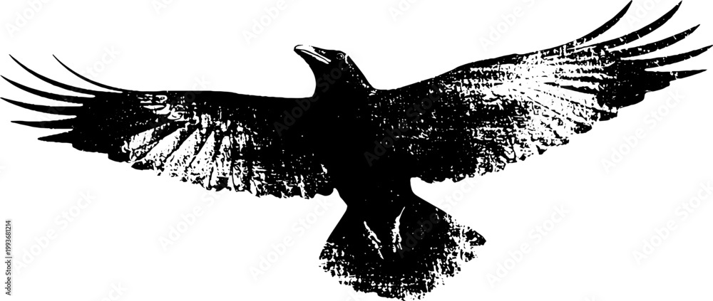 Fototapeta premium High contrast black and white raven wings spread in flight ink illustration for poster background and emblem design