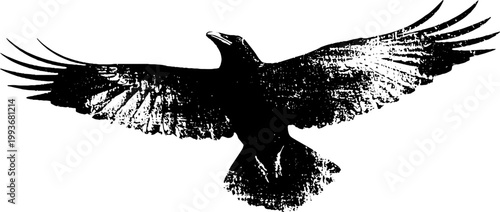 High contrast black and white raven wings spread in flight ink illustration for poster background and emblem design