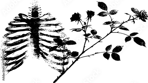 High contrast black and white ribcage with horizontal rose branch for gothic banner background and apparel design