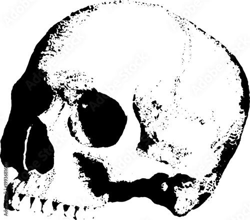 High contrast black and white human skull ink illustration for poster background and tattoo design