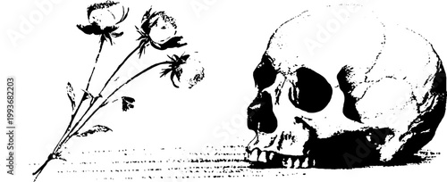 High contrast black and white skull with wilted peonies for gothic background and poster design with melancholic botanical ink aesthetic