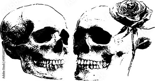 Paired skulls with rose in high contrast black and white ink for gothic poster and tattoo background design with romantic macabre tone