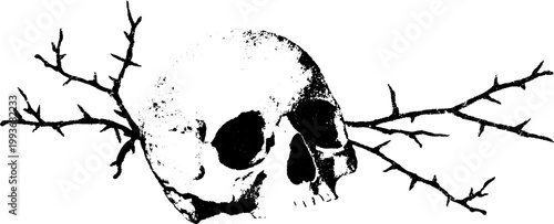 Human skull pierced by thorn branch high contrast black and white ink drawing for gothic background poster design