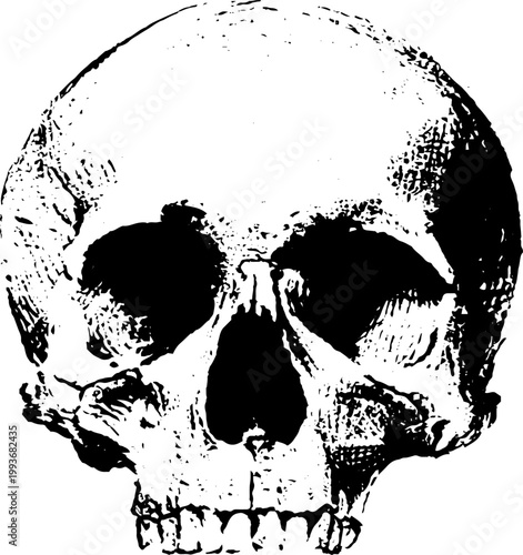 High contrast black and white closeup skull ink illustration for tattoo reference and poster background