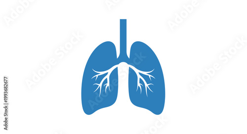 Blue lungs with bronchial tree.