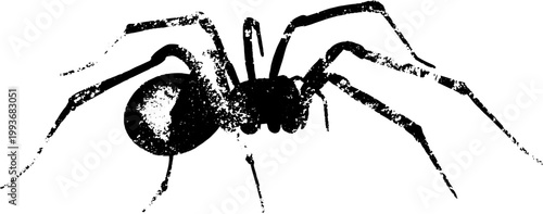 High contrast black and white spider ink artwork minimal isolated arachnid graphic frontal view for poster background and stencil design