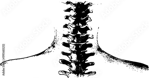 High contrast black and white ink illustration of human spine with halo ring for medical poster background and graphic design