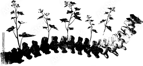 Ink illustration of spine with sprouting plants and leaves high contrast black and white for poster or editorial design