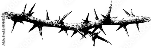Black ink thorn branch high contrast spine with thorns horizontal layout for background poster or tattoo design