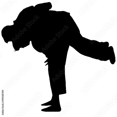 The silhouette of a martial arts performer.