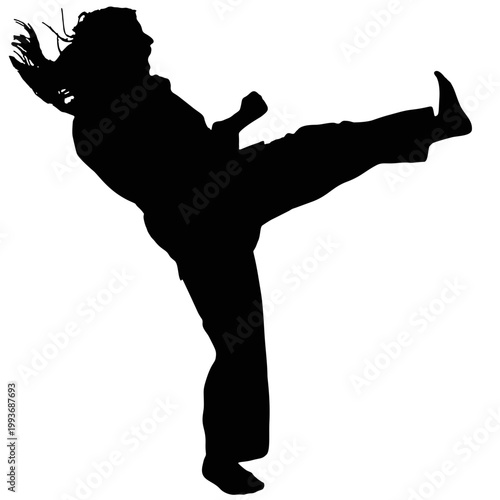 The silhouette of a martial arts performer.