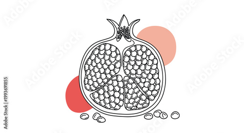 Detailed line drawing of a pomegranate cut in half showing its red seeds with decorative abstract shapes on a white background.
