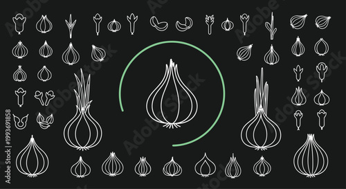 Large collection of minimalist white outline icons of garlic bulbs and cloves arranged on a dark gray background for kitchen use.