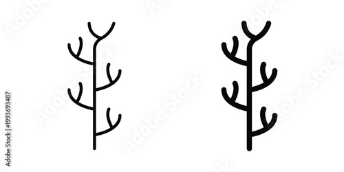 Algae icon. Line and glyph solid vector collection.