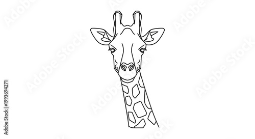 Detailed line art illustration of a giraffe's head and upper neck with distinctive patterns and features.