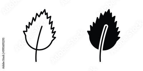 Birch leaf icon. Line and glyph solid vector collection.