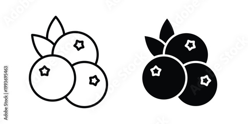 Blueberry icon. Line and glyph solid vector collection.