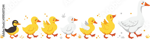 Flat Vector Illustration of a Mother Goose and Seven Ducklings Following in a Row Featuring a White Goose and Multi-Colored Baby Birds for Children's Books and Nature Themed Designs