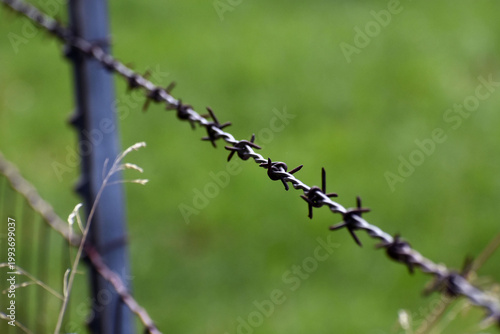 Barbed wire on a fence.