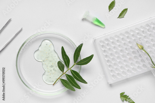 Petri dish and laboratory e...