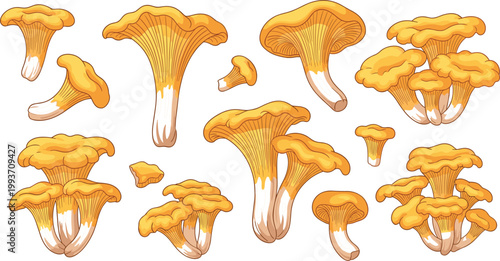 Healthy Breakfast Plate Vector Set Featuring Sunny Side Up Fried Eggs with Whole Grain Toast, Avocado Slices, and Fresh Salad for Morning Brunch Concepts ****Healthy Breakfast Plate Vector Set   