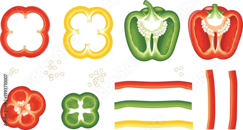 Minimalist Skull and Bones Vector Icon Set Featuring Hand-Drawn Anatomical Sketches and Spooky Crossbone Designs for Halloween and Gothic Graphic Design ****Minimalist Skull and Bones Vector Icon Set 