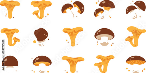 Premium Chanterelle Mushroom Vector Set Featuring Detailed Yellow Girolle Fungi Clusters for Foraging and Gourmet Culinary DesignsPremium Chanterelle Mushroom Vector Set Featuring Detailed Yellow 
