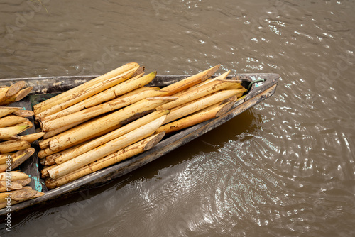 Acai palm heart unloading at riverside dock in the Amazon