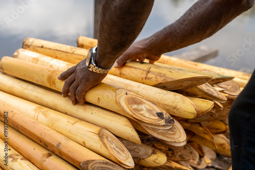 Acai palm heart unloading at riverside dock in the Amazon