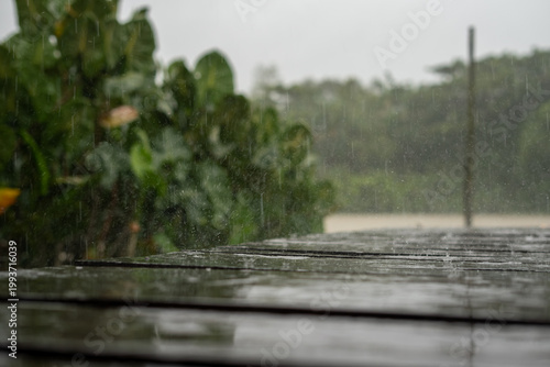 Traditional riverside wooden pier in Amazon rainforest during rain