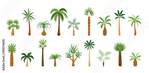 Set of tropical palm tree collection in flat style. Exotic jungle plant bundle for summer travel, beach and resort design