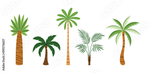 Quadro su tela Set of tropical palm trees in flat style