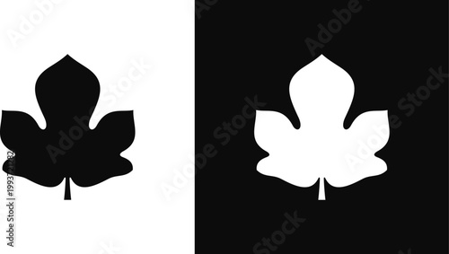 Fig leaf silhouette.  Isolated fig leaf on white and black background 
