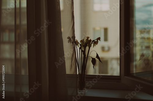 Vintage retro style window with airy tulle, interior decoration for the background.