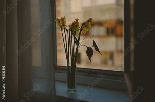 Vintage retro style window with airy tulle, interior decoration for the background.