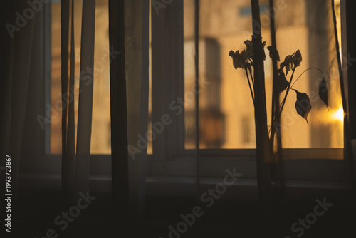 Vintage retro style window with airy tulle, interior decoration for the background.