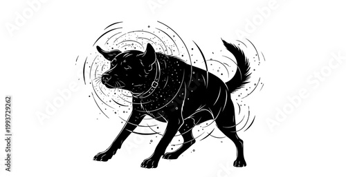 Black silhouette illustration of a dog shaking off water Isolated on transparent background