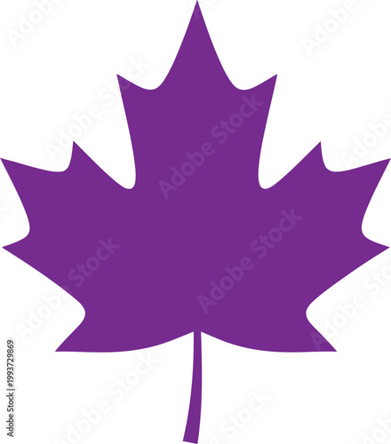Purple maple leaf isolated on transparent background a vibrant autumn symbol for canadian and fall themed designs
