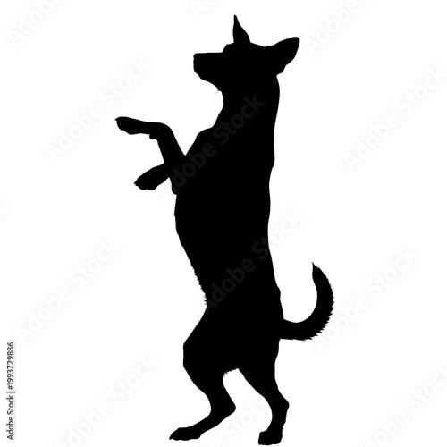 Black silhouette of a playful dog standing on its hind legs Isolated on transparent background